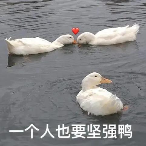 抖音上十个女人有九个是单身的吗