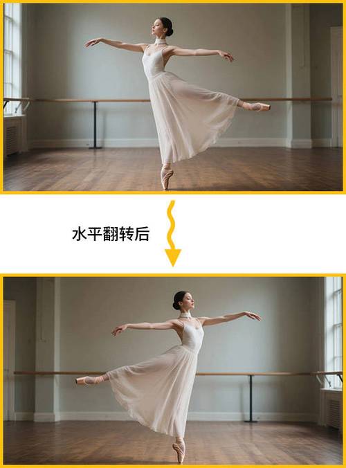 舞蹈视频转换成镜面