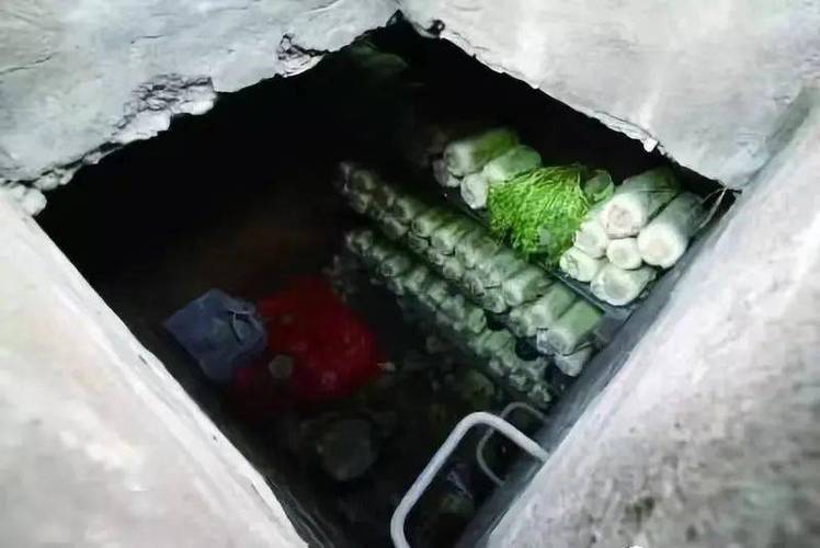 挖菜窖最忌讳三个地方