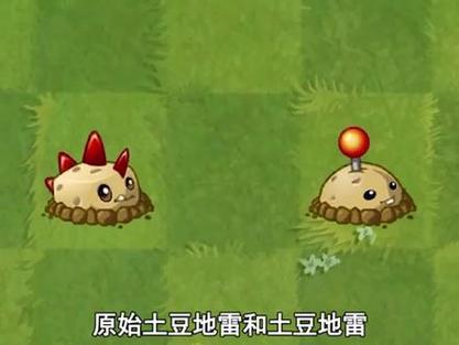 植物大战僵尸土豆地雷游戏