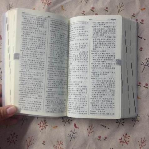 德语词典在线