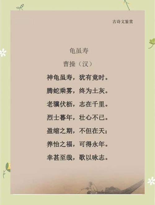 年猪全文