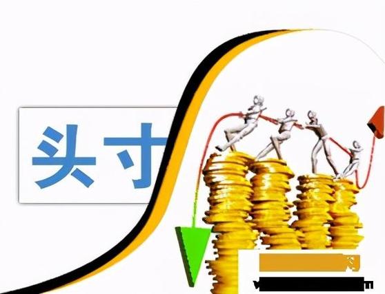 持仓头寸是什么意思