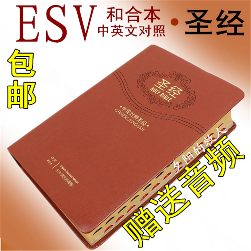 旧约新约圣经书