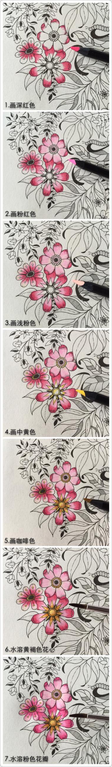 秘密花园涂色教程大全