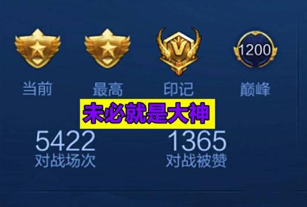 十二个赛季王者的印记