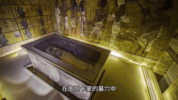 法老是哪个大学毕业的