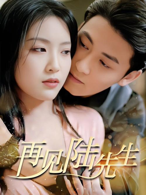 蚀骨情深:再见,陆先生