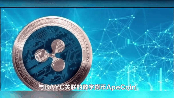 数字货币禁令 nft