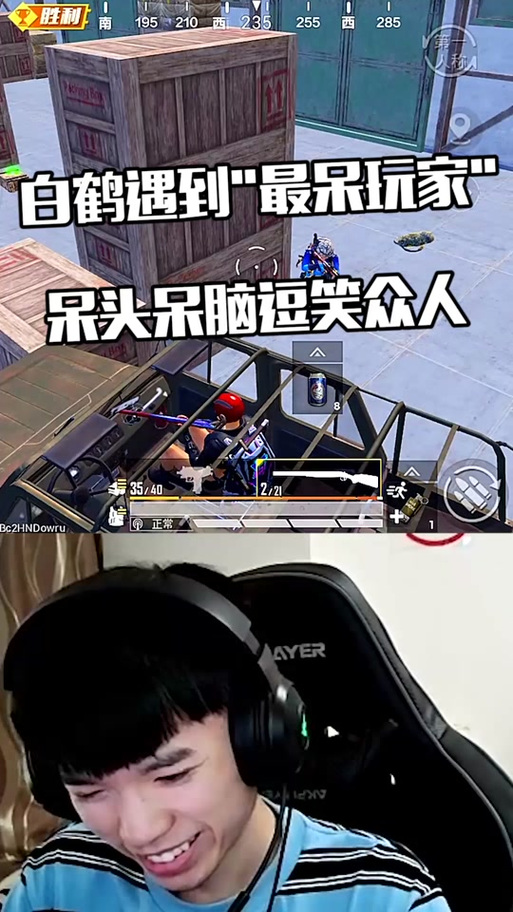 白鹤逃跑辅助