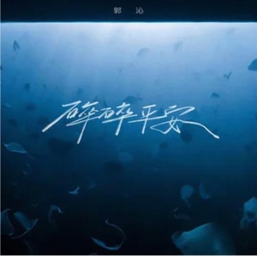 碎碎平安不能乱说图标