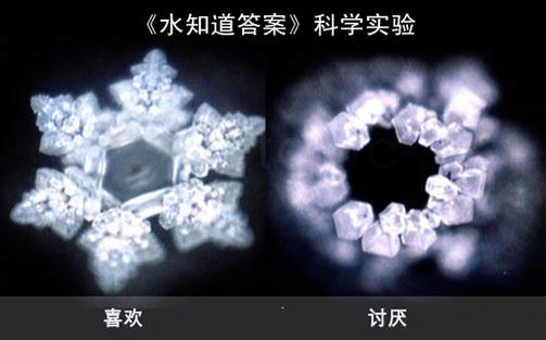 日本科学家关于水的实验