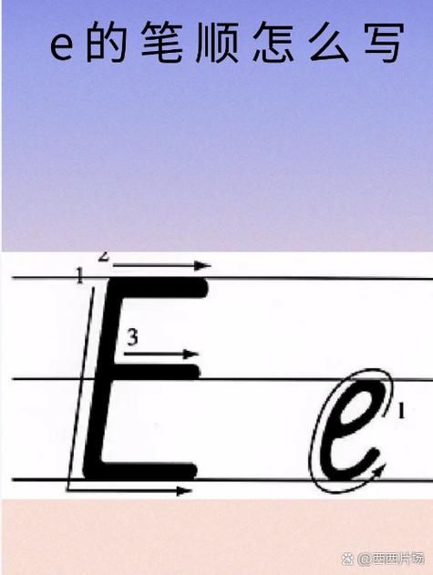 大写字母e在数学中表示什么截图