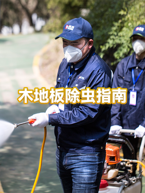 家里九香虫特别多怎么办