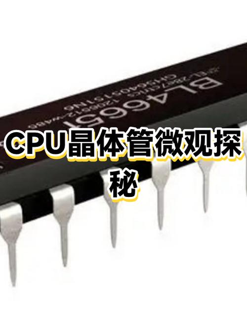 处理器型号怎么看