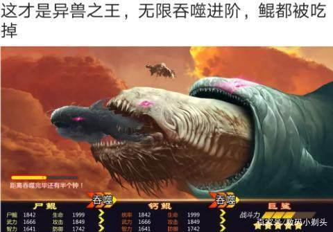 疯狂养鲲图标