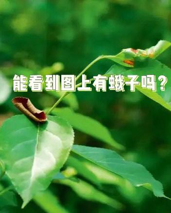 vivo手机怎样把手机软件隐藏起来截图