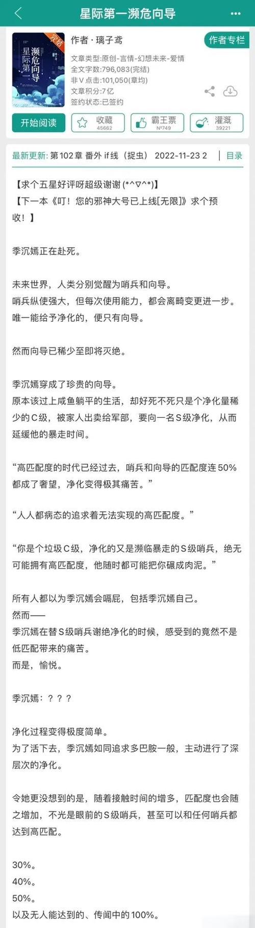 哨兵向导小说推荐