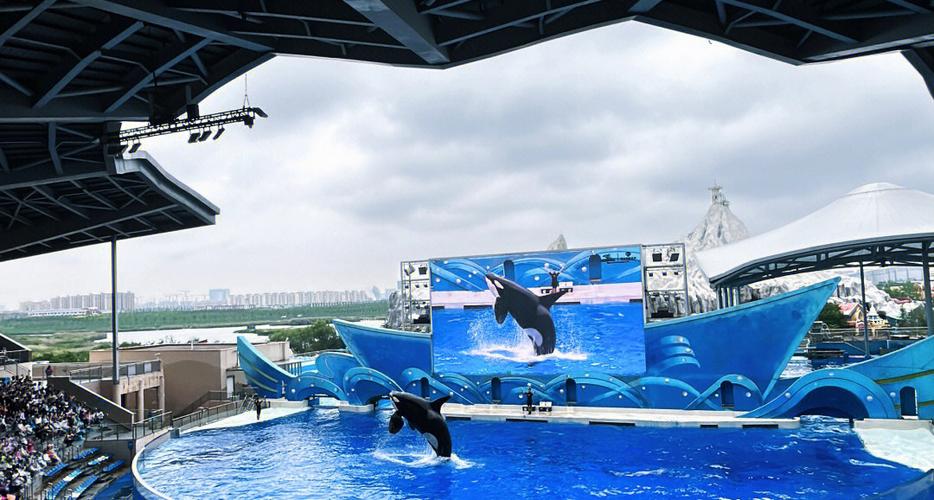 上海海洋海昌公园门票价格