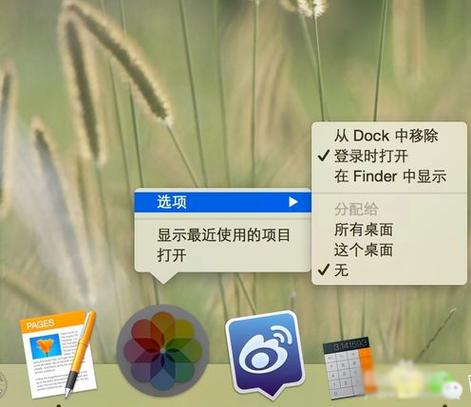 Mac开机就很多程序自动打开