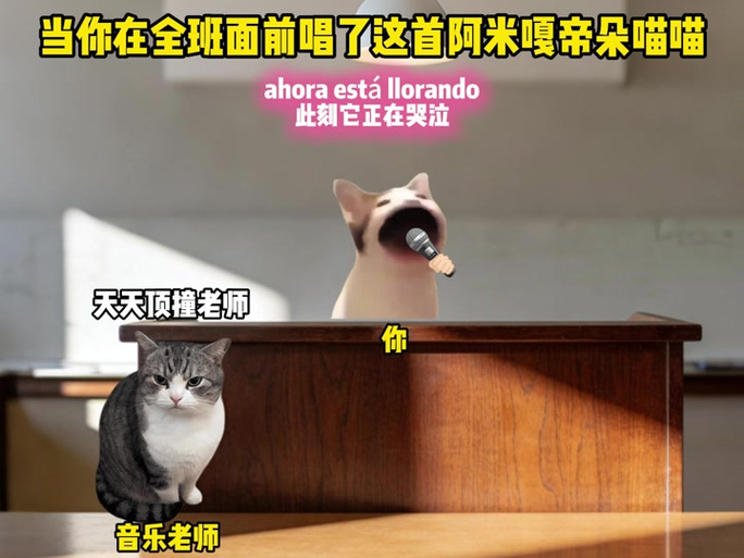 哎我的小猫喵喵《原唱》