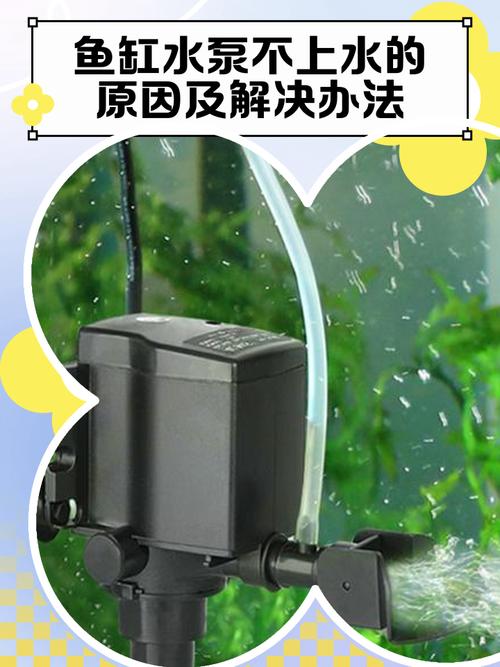鱼缸水泵突然不转了是什么原因
