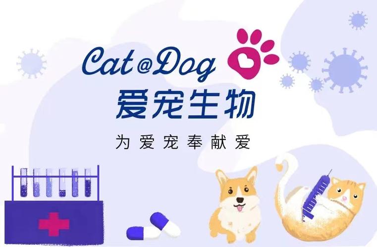 爱动保app