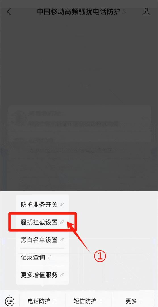 怎样取消高频骚扰电话防护