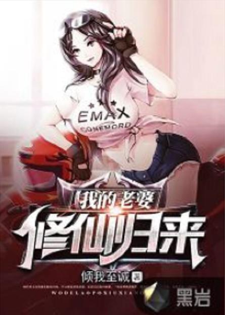 我的老婆是天仙 小说