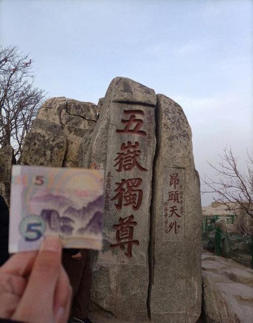 泰山60岁收费项目表