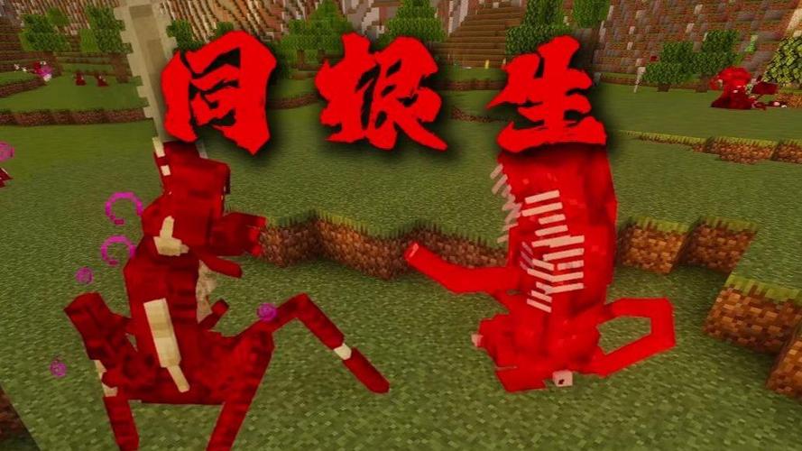 我的世界觉悟血肉