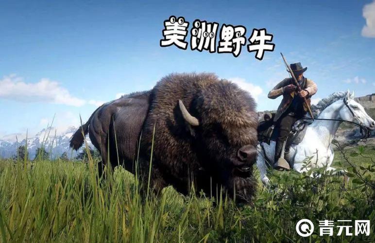 大镖客2传说野牛