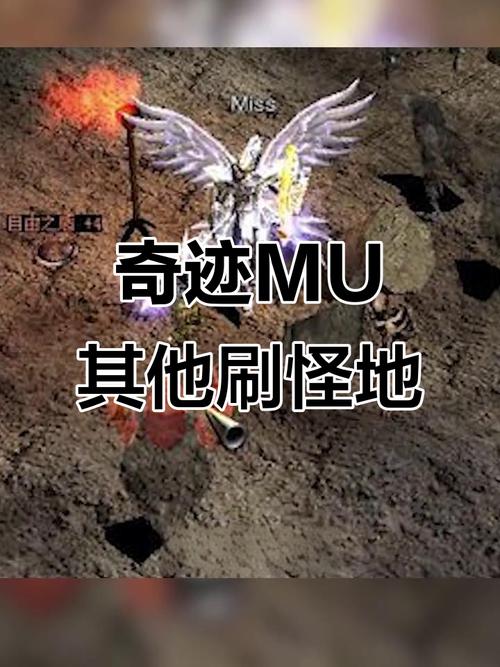 奇迹mu刷怪最快的职业