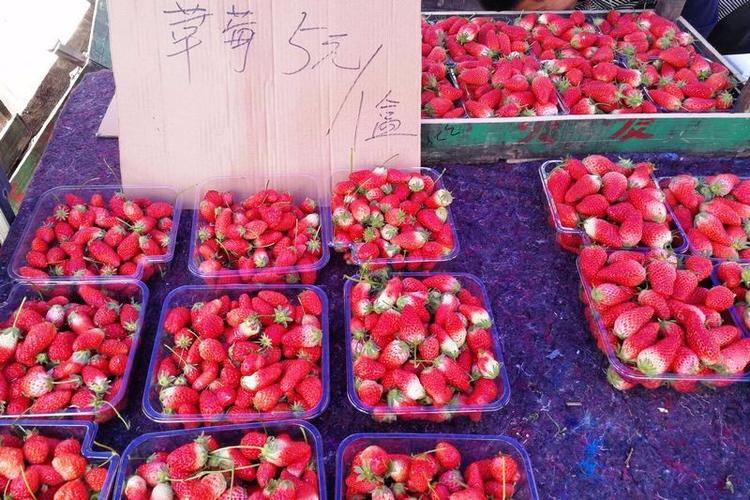 卖草莓的10个技巧缩略图
