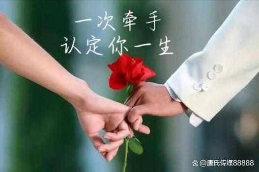 不离不弃图片