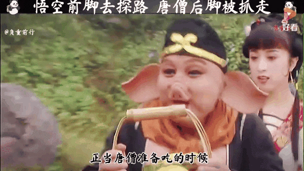 八戒加速图标