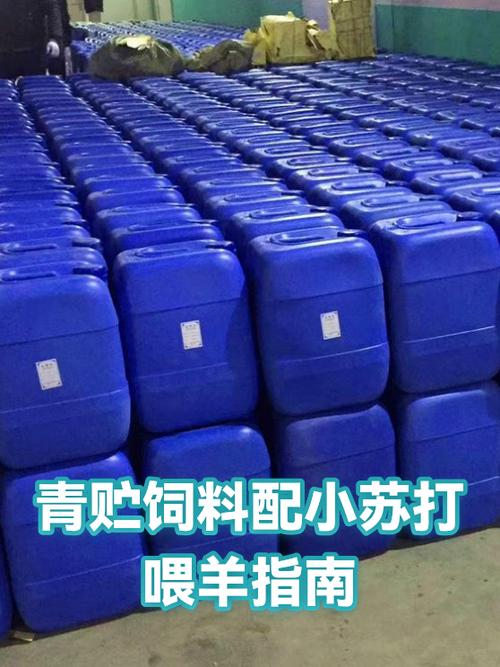 羊喂小苏打正确方法