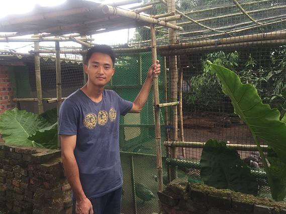 我是养鸡王游戏特色