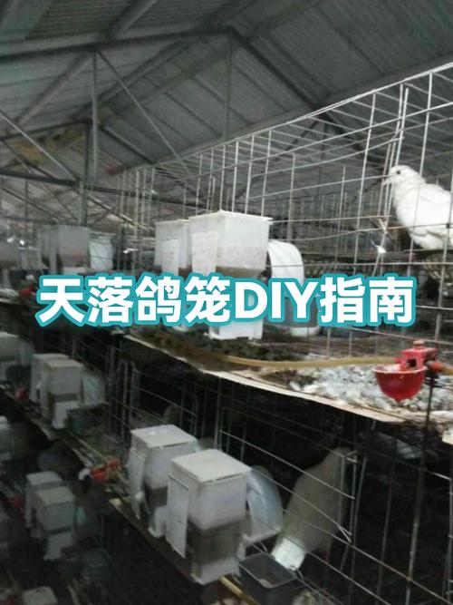 天落鸽翻转机关制作教程详解