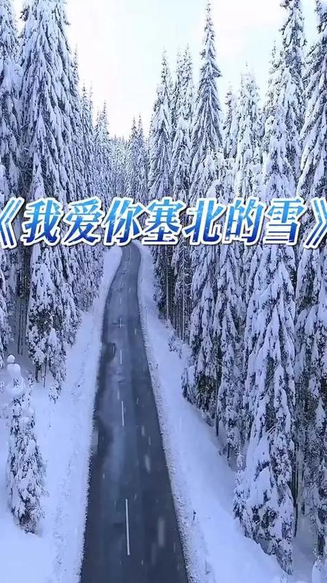 抖音冰雪歌曲缩略图