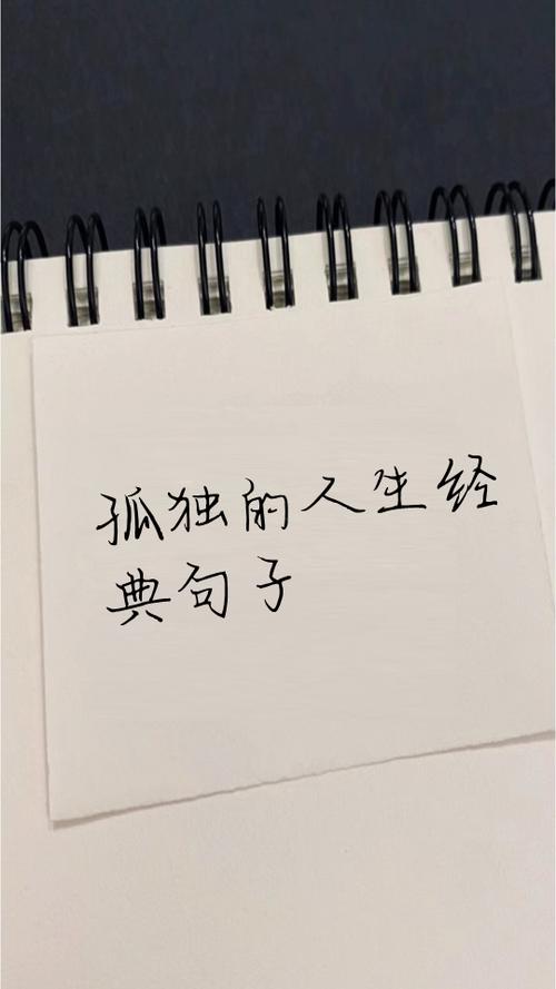 孤独也是一种境界感悟句子截图