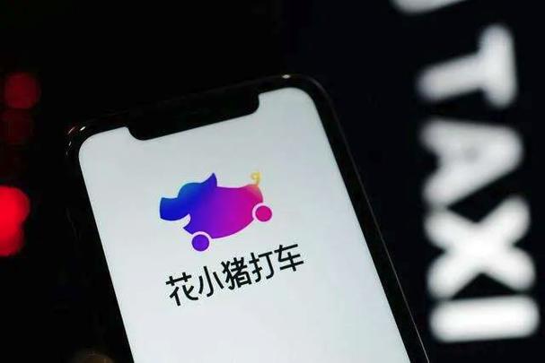 花小猪如何重新授权