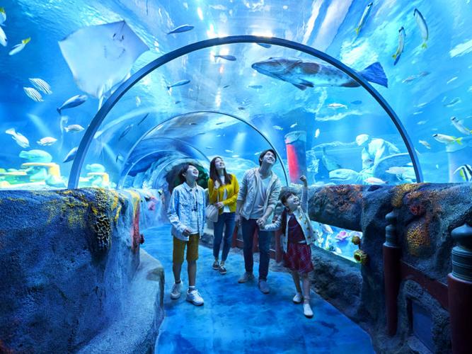 名古屋sealife水族馆