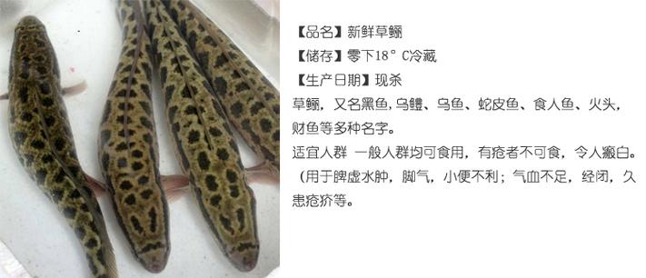 2-3斤的黑鱼多少钱