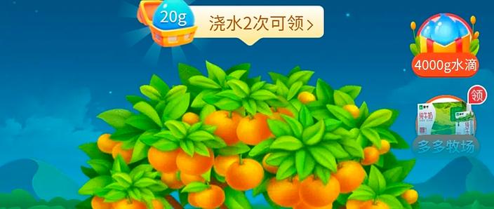 多多果园水滴第二天清零吗