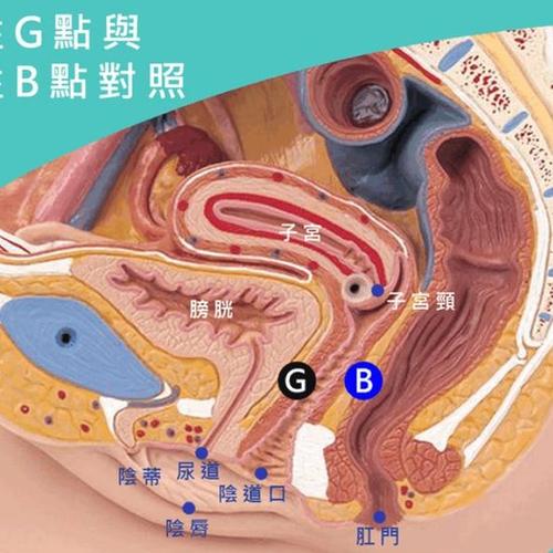 G位的正确扣法