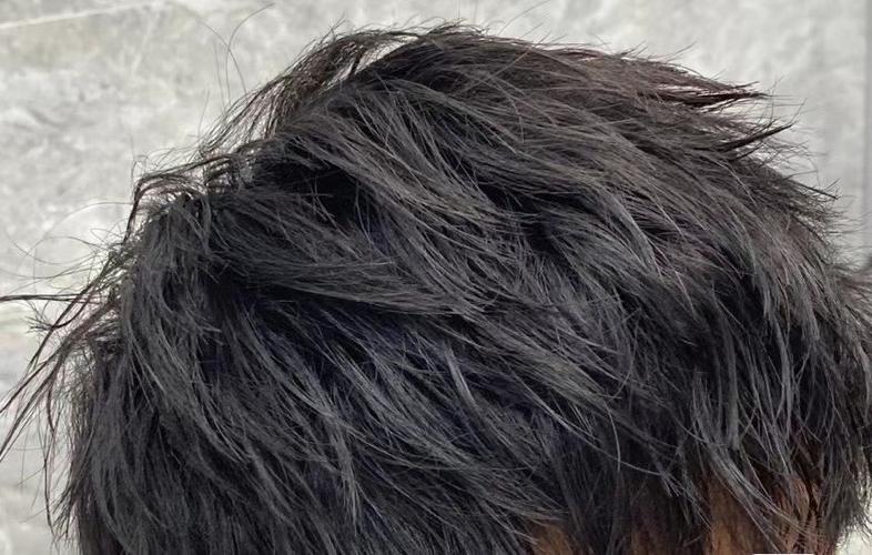 男生的短发乌黑乌黑的像什么