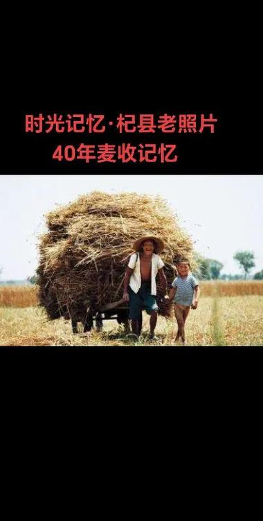 抖音老旧版本大全所有历史版本