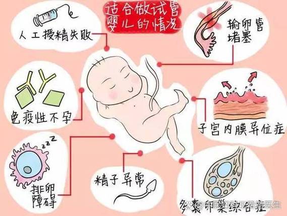 初一女生有生育能力吗缩略图