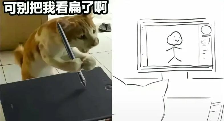 骚扰电话语音留言